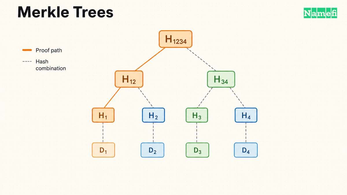 A pyramid of Merkle tree hash nodes combining pairwise up to a single root, with one leaf-to-root proof path highlighted in orange showing a light-client Merkle proof